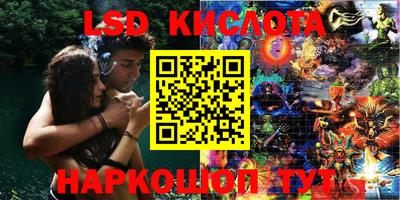 альфа пвп Новодвинск