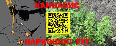 альфа пвп Новодвинск