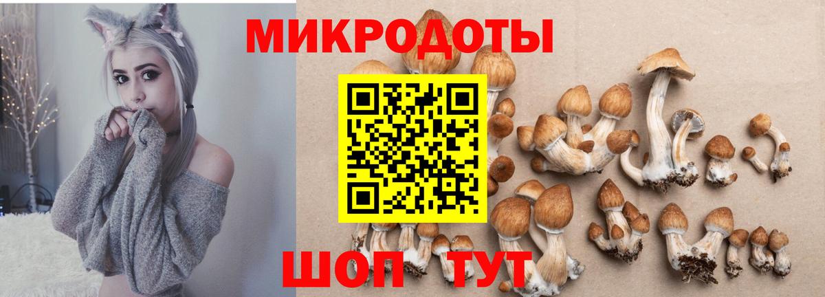 Галлюциногенные грибы прущие грибы  Псилоцибиновые грибы Magic Shrooms  Красноперекопск  Вход с VPN 